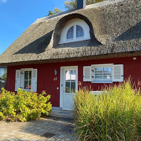 Ferienhaus Greta Glowe Extérieur photo